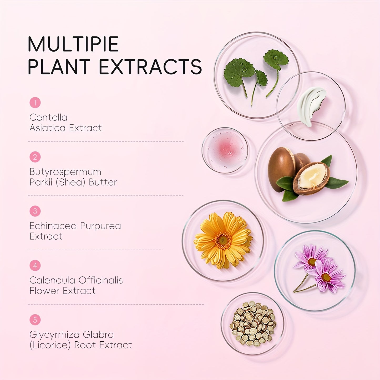 Sakura Tone-Up Cream