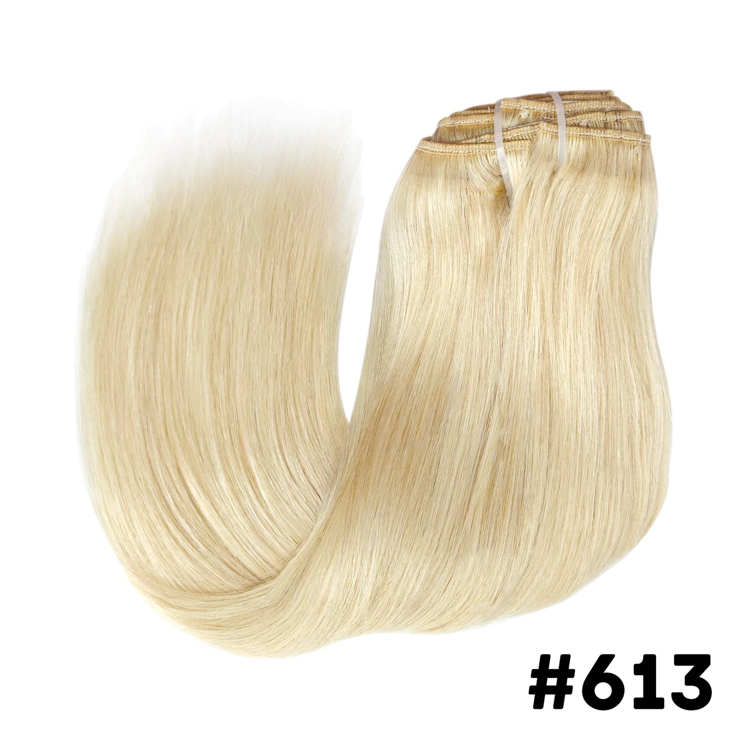 Straight Clip ins Human Hair Extensions